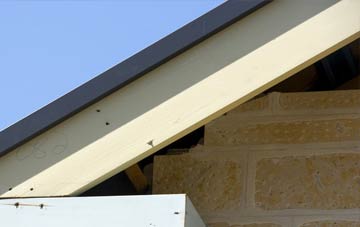 Eggleston fascia repairs