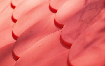 Eggleston plastic roof costs