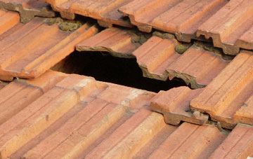 roof repair Eggleston, County Durham